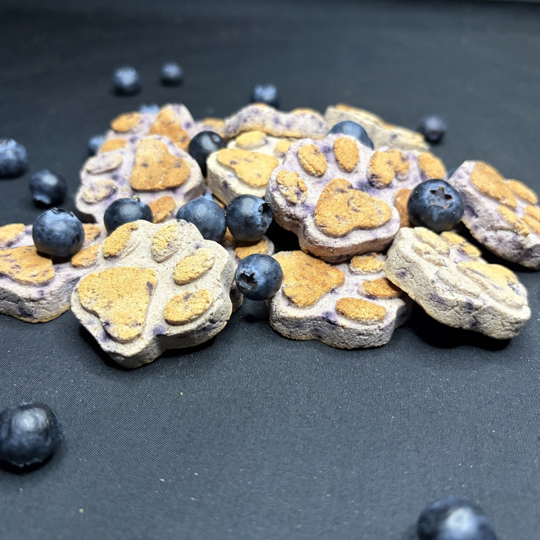 Blueberry Biscuits