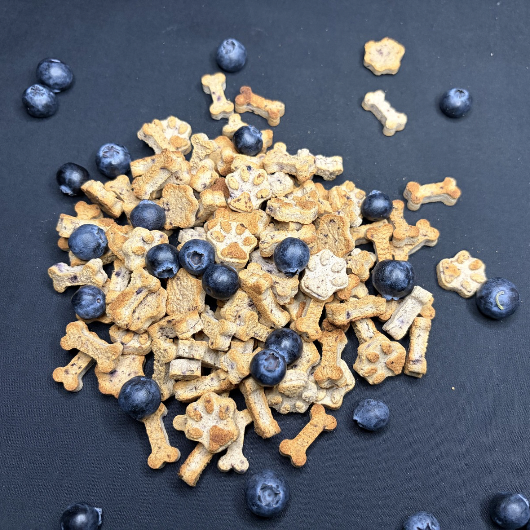 Mini Blueberry Biscuits