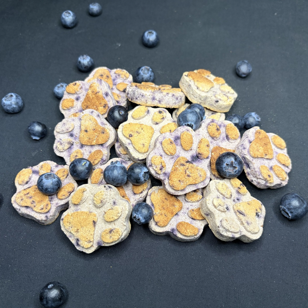 Blueberry Biscuits