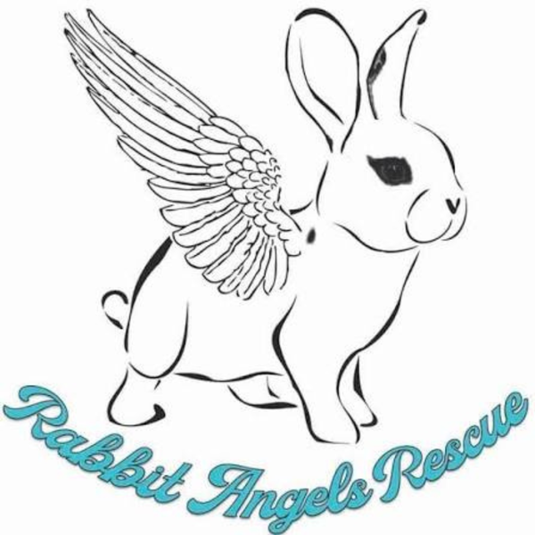 Rabbit Angels Rescue